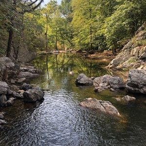 Meet your Posher, Kat